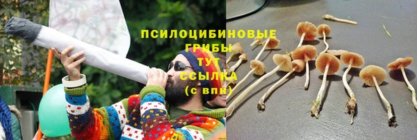 а пвп мука Баксан