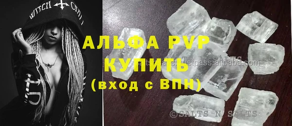 амф Каменка