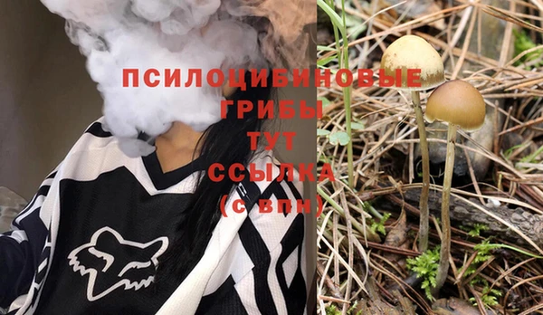 соль ск Балахна