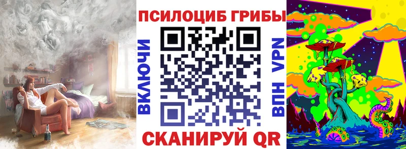 площадка какой сайт  цена наркотик  Задонск  Галлюциногенные грибы Psilocybine cubensis 