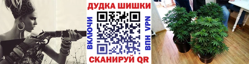 Шишки марихуана SATIVA & INDICA  где можно купить   Задонск 